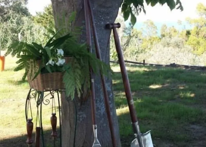 Bontempo Couette-café 4*