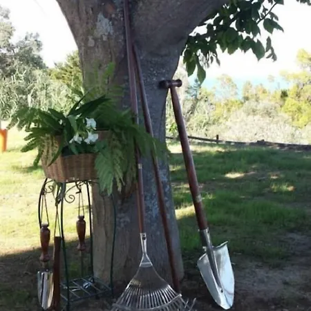 Bontempo Bed & Breakfast 3*